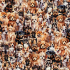Devonstone Collection Coops Farm - Patchwork and Quilting Fabric from Brown's Craft Shed (Tags: Fabric animal animals cute Devonstone Collection dogs multi novelty patchwork pet playful puppies quilting whimsical )