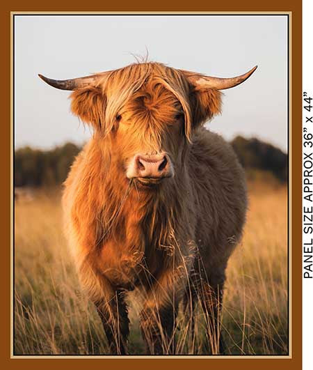 KK Fabrics Homestead Bovine Highland Cow Panel - Patchwork and Quilting Fabric from Brown's Craft Shed (Tags: Fabric Animal Fabric Panel Brown Cow Panel KK Fabrics panel )