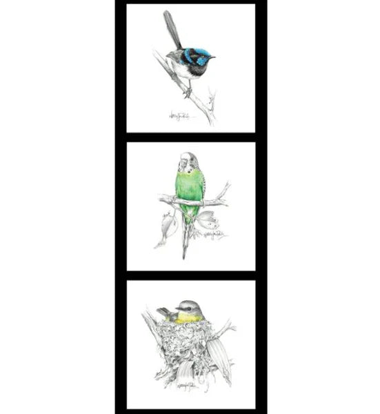 Devonstone Collection - Natalie Jane Parker - Patchwork and Quilting Fabric from Brown's Craft Shed (Tags: Fabric bird birds blue budgerigar budgie Devonstone Collection fairywren green illustrated Natalie Jane Parker nature panel robin sketches white wildlife )