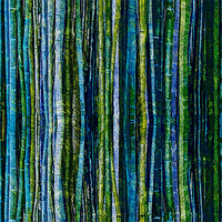 KK Fabrics Fabulously Froggy: Bamboo Blue by De Gillett Cox - Patchwork and Quilting Fabric from Brown's Craft Shed (Tags: Fabric bamboo blue green lines nature plants textures )