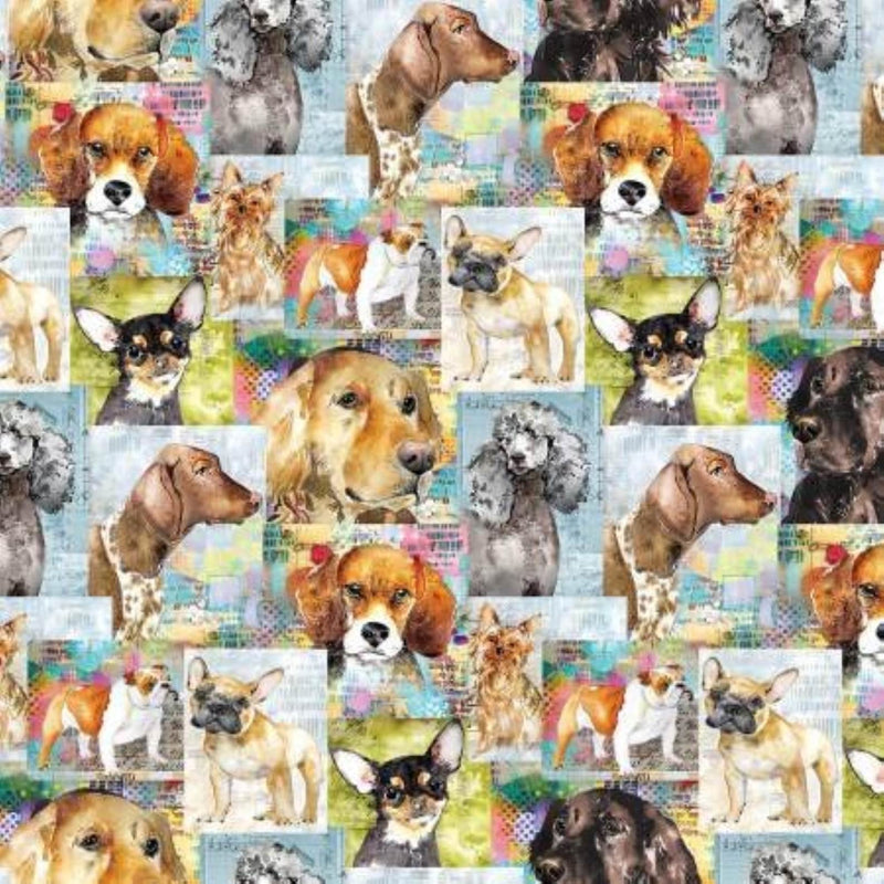 Clothworks Best Friends by Lexi Grenzer - Patchwork and Quilting Fabric from Brown's Craft Shed (Tags: Fabric )
