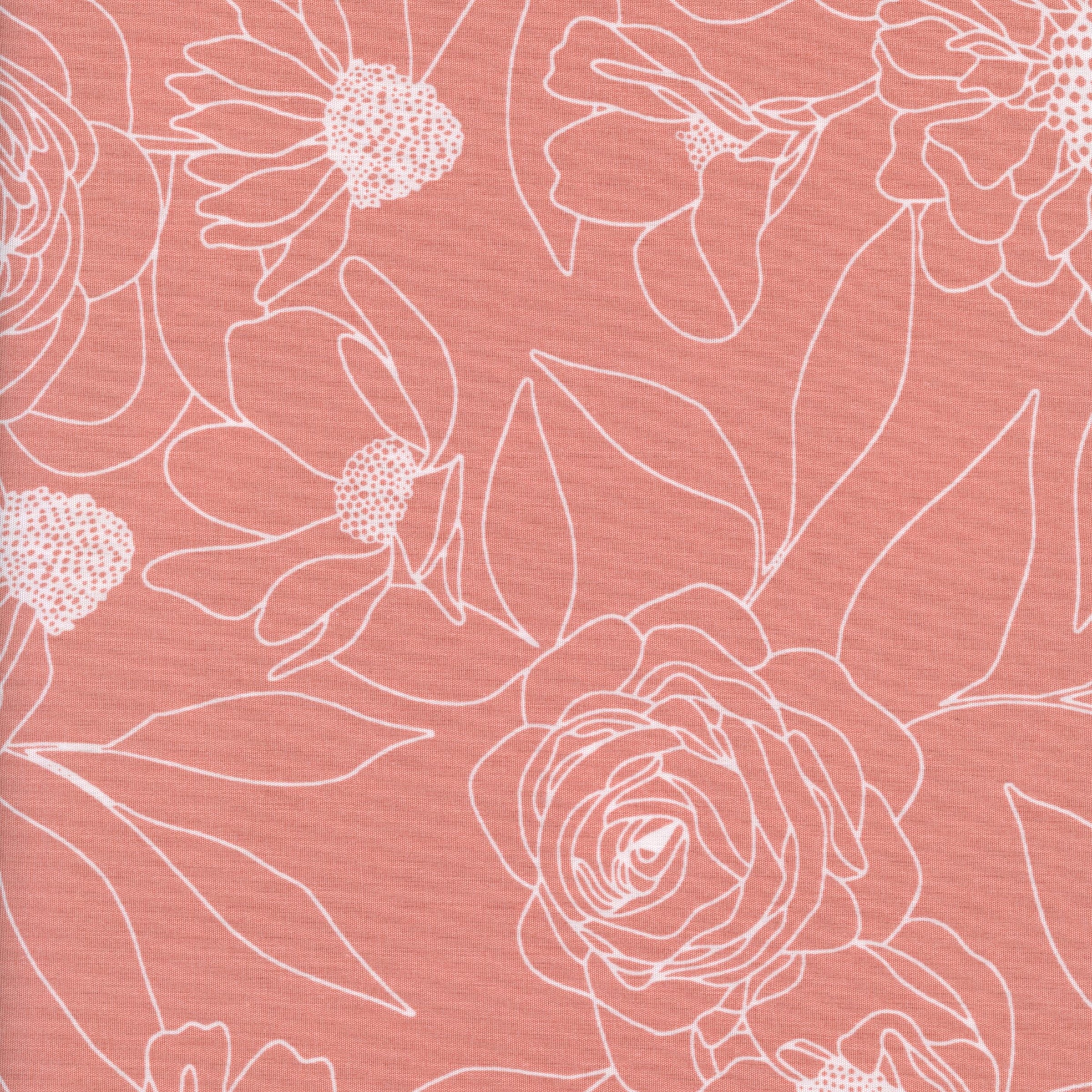 Moda Botany by Alli K - Patchwork and Quilting Fabric from Brown's Craft Shed (Tags: Fabric Alli K backing blush botanical elegant Floral floral outline Moda Moda Botany modern nature pink white wide backing )