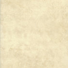 Maywood Studio Shadow Play - Patchwork and Quilting Fabric from Brown's Craft Shed (Tags: Fabric beige blender fabric cream Maywood Studio Shadow Play tonal )