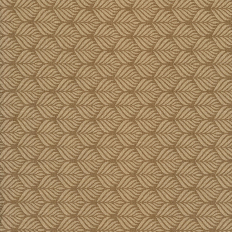 Andover Fabrics Modern Quilt Studio The Color Collection - Patchwork and Quilting Fabric from Brown's Craft Shed (Tags: Fabric beige Brown cream Floral Leaves Tan )
