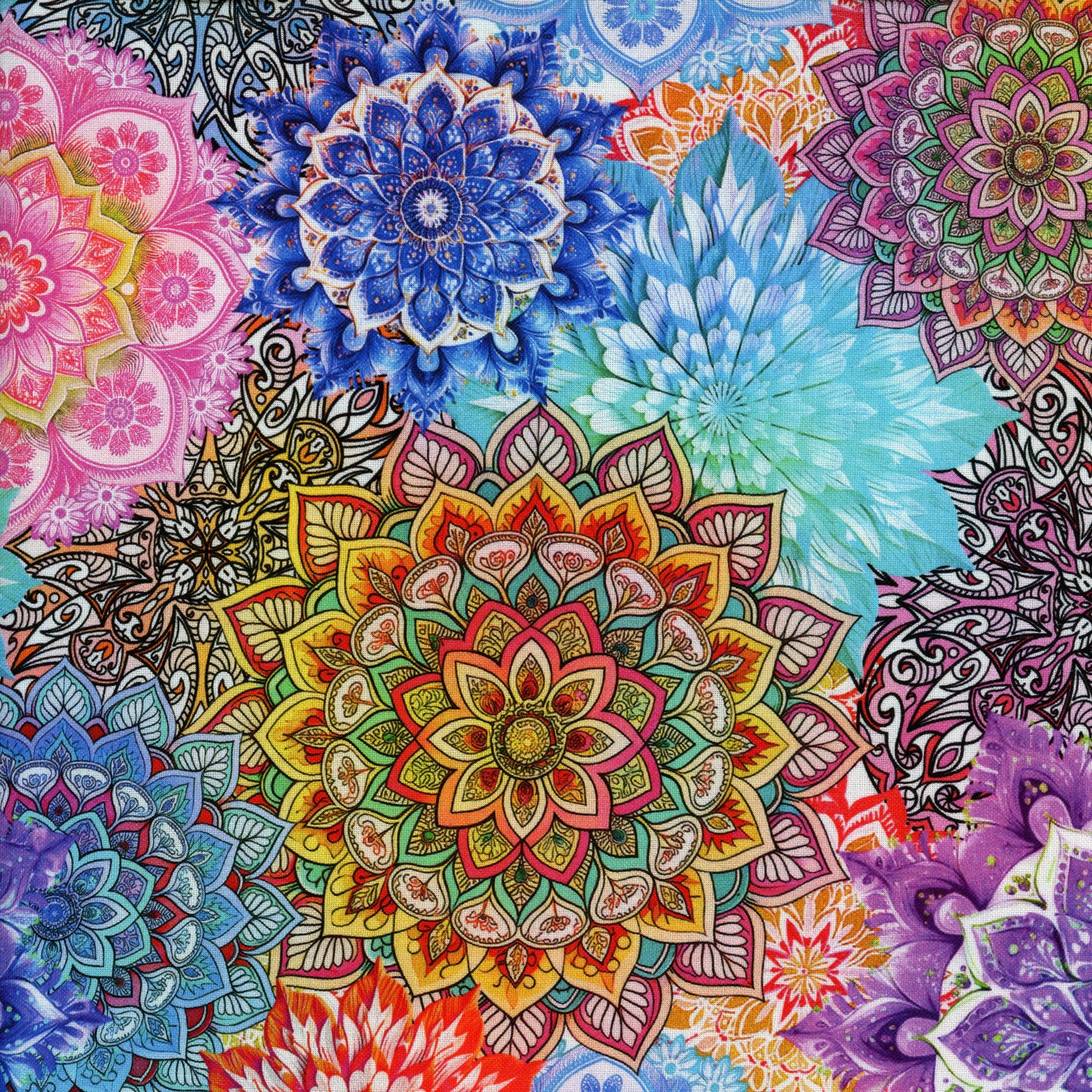 Kennard & Kennard Fabrics Lush Petals Wide (Multi) - Patchwork and Quilting Fabric from Brown's Craft Shed (Tags: Fabric 2.7m wide backing bold colourful Kennard & Kennard Lush Petals mandala multi nature patterns rainbow red statement print wide back wideback )