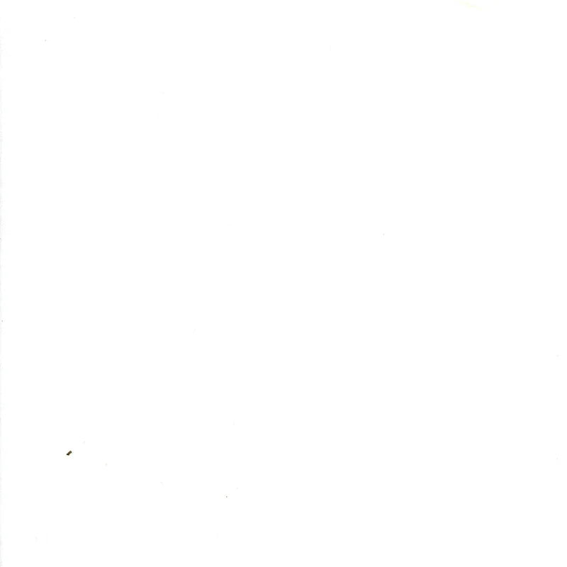 Flannelette - Plain White - 106cm Wide