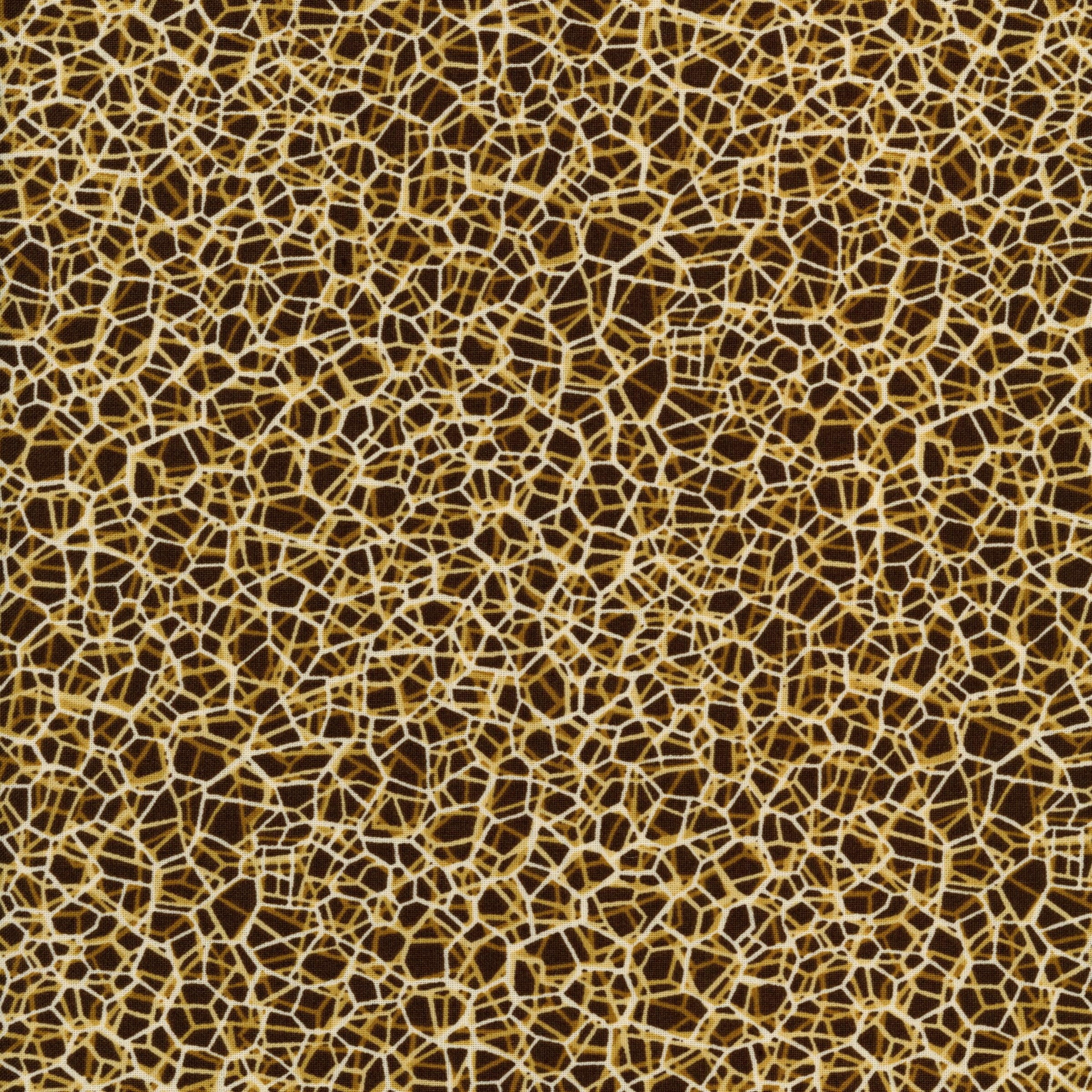 Leutenegger - Effervescence - Patchwork and Quilting Fabric from Brown's Craft Shed (Tags: Fabric abstract blender gold Leutenegger lines patterns rustic textures warm tones )