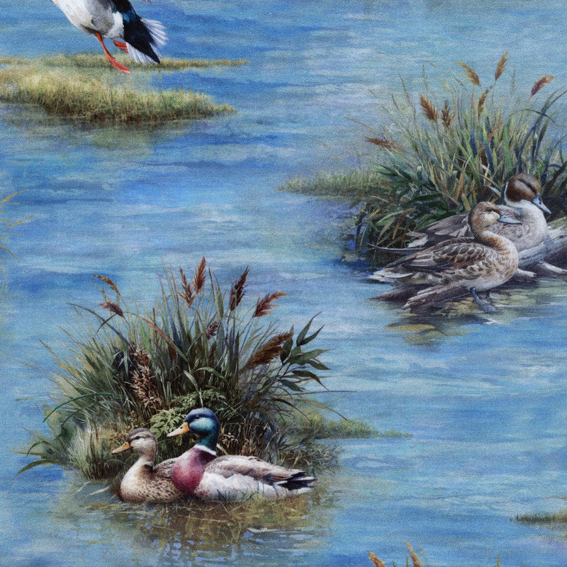 Hoffman Fabrics - Lakeside Echo (Lake) - Patchwork and Quilting Fabric from Brown's Craft Shed (Tags: Fabric animal birds blue duck green Hoffman Fabrics lake Lakeside Echo nature rustic scenic water wildlife )