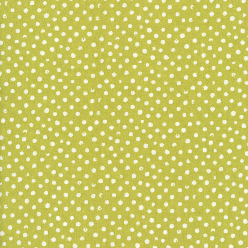 Dear Stella Design Stella - Patchwork and Quilting Fabric from Brown's Craft Shed (Tags: Fabric basics blenders children contemporary Dear Stella dots fun green modern patchwork playful quilting Spots Stella )