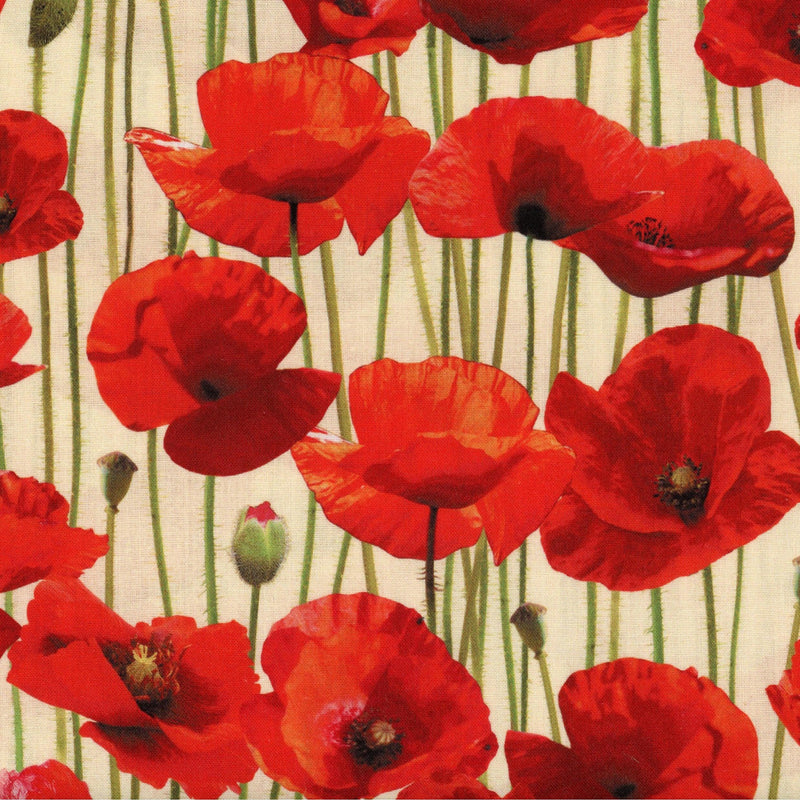 Kenard & Kenard Fabrics Poppie Backing - Patchwork and Quilting Fabric from Brown's Craft Shed (Tags: Fabric backing )