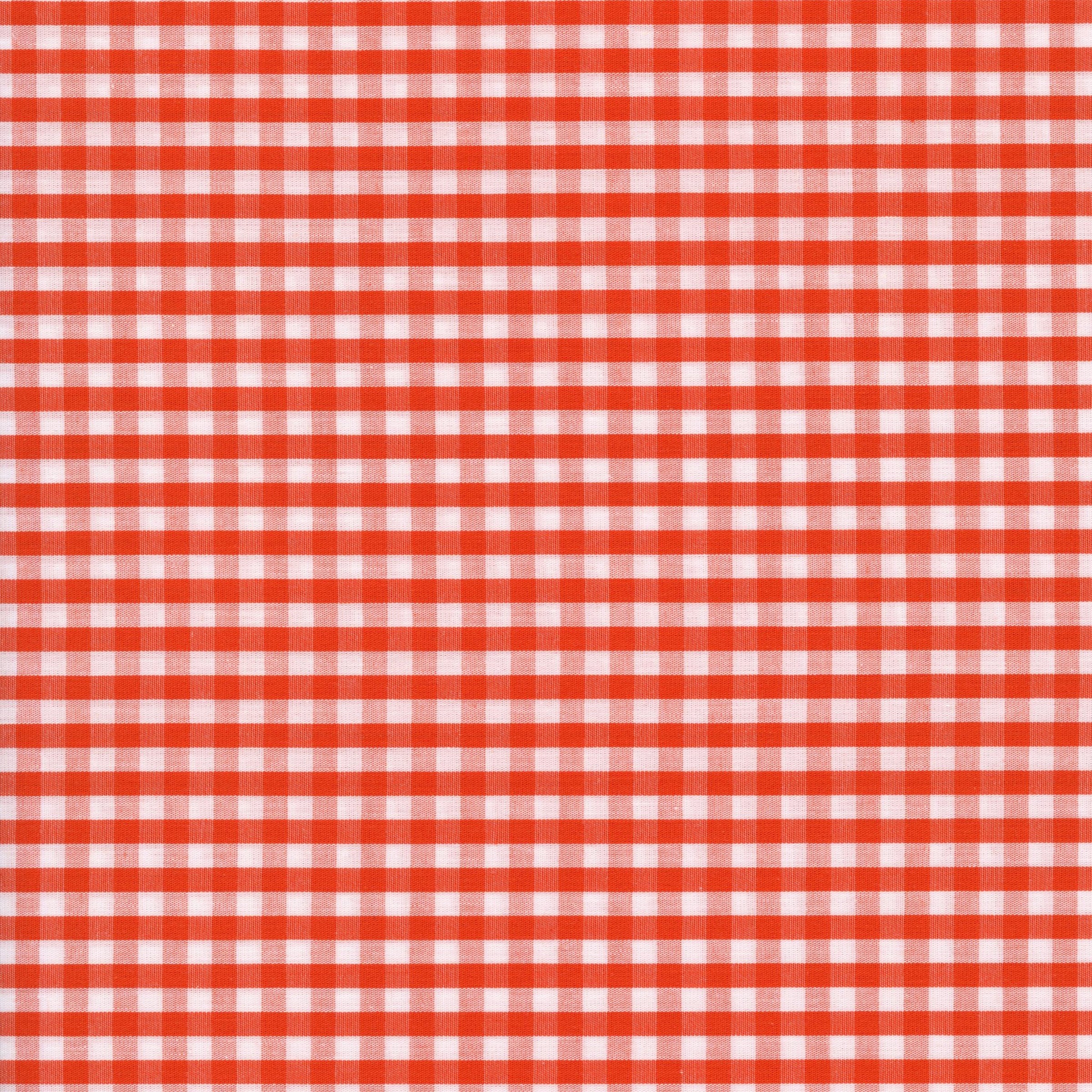Devonstone Collection Building Block Basics - Picnic - Patchwork and Quilting Fabric from Brown's Craft Shed (Tags: Fabric basics blender blenders Building Block Basics check classic Devonstone Collection Geometric picnic red traditional white )