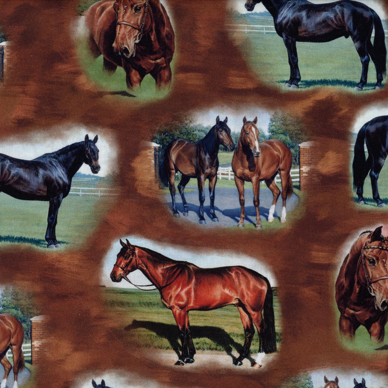 QT Fabrics Horse Country