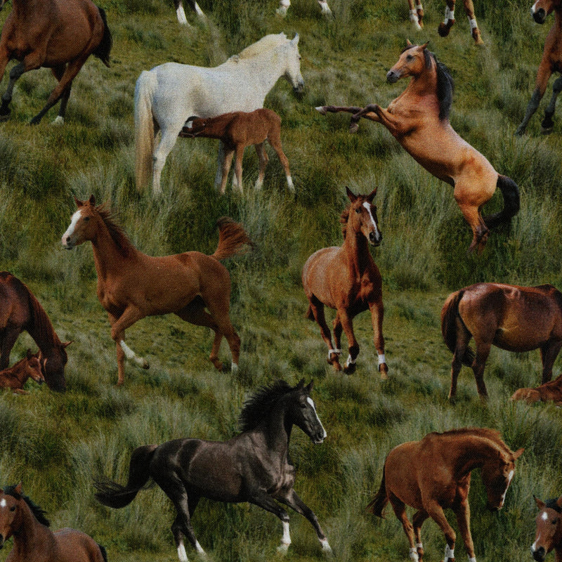 Kennard & Kennard Fabrics - Horses by Milvale Design Studio - Patchwork and Quilting Fabric from Brown's Craft Shed (Tags: Fabric animal animals Brown country farm green horse horses Kennard & Kennard Fabrics Milvale Design Studio nature novelty rural wildlife )