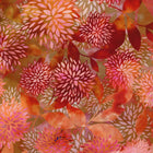 In The Beginning Fabrics - Allure by Jason Yenter - Patchwork and Quilting Fabric from Brown's Craft Shed (Tags: Fabric Allure bold contemporary coral Floral Jason Yenter nature orange pink red tonal warm tones watercolour )