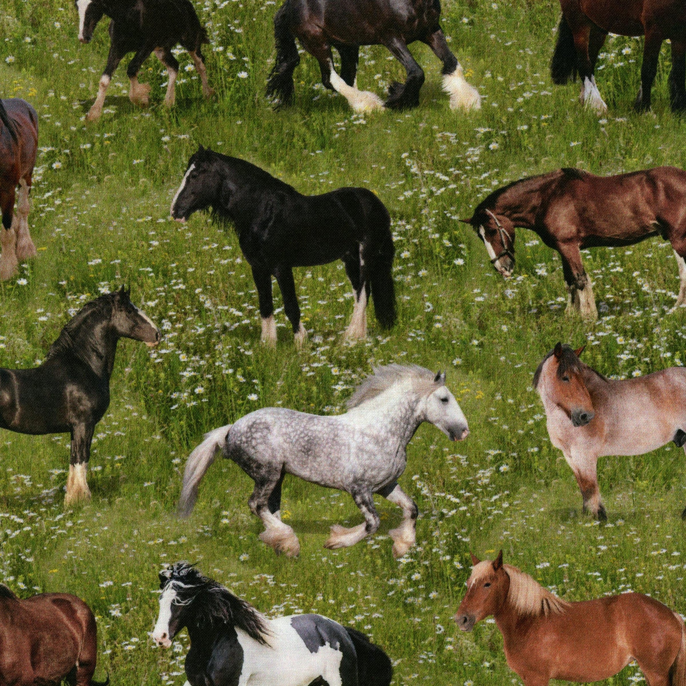 Kennard & Kennard Fabrics - Heavy Horses Designed by Milvale Design Studio - Patchwork and Quilting Fabric from Brown's Craft Shed (Tags: Fabric animal animals Brown country farm green Heavy Horses horses Kennard & Kennard Fabrics Milvale Design Studio nature novelty rural wildlife )