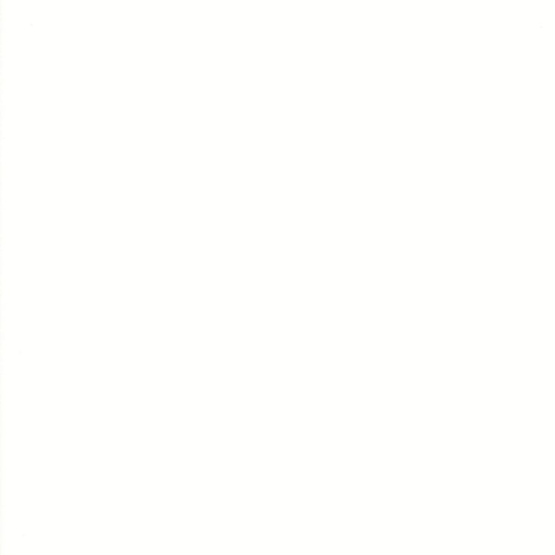 Leutenegger - Quilters Deluxe White - Patchwork and Quilting Fabric from Brown's Craft Shed (Tags: Fabric background basics blender classic clean Leutenegger Neutral patchwork Quilters Deluxe quilting solid timeless white )