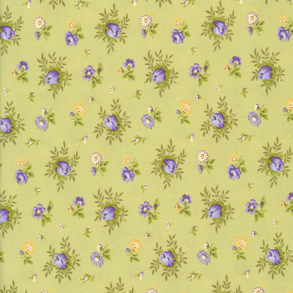 Moda Georgia by Brenda Riddle Designs – Brown's Craft Shed