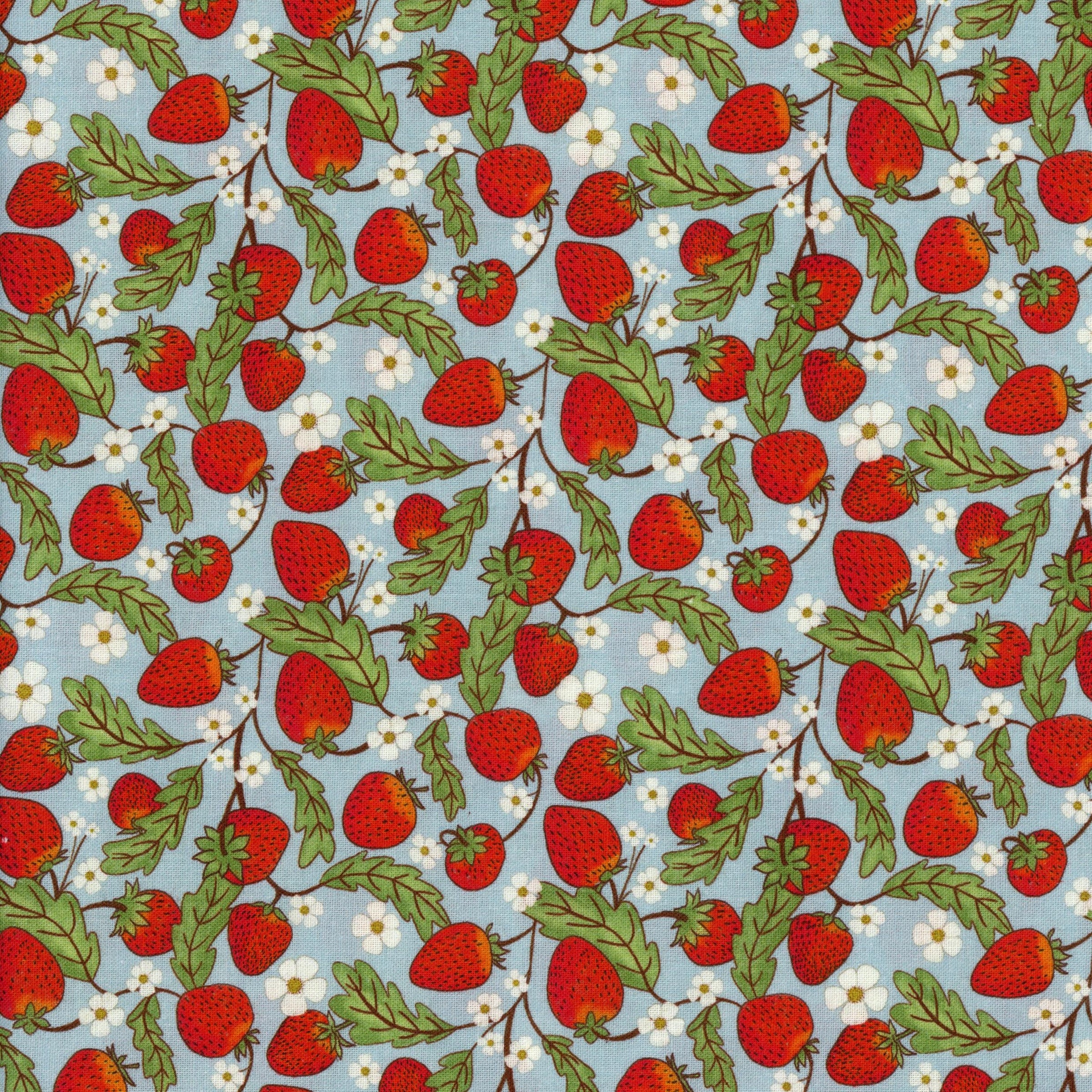 Nutex Whimsical Fields by Mel Armstrong - Patchwork and Quilting Fabric from Brown's Craft Shed (Tags: Fabric blue fruit garden green Mel Armstrong nature novelty Nutex playful red spring strawberry Whimsical Fields white )