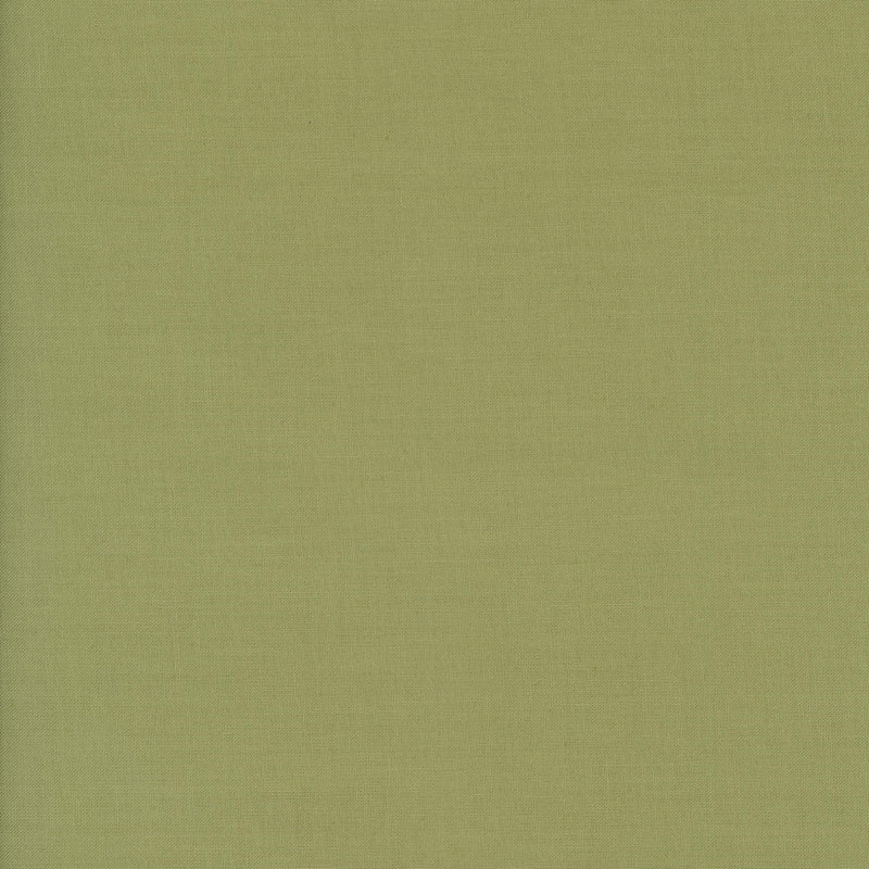 Devonstone Collection - Pine Tree - Patchwork and Quilting Fabric from Brown's Craft Shed (Tags: Fabric blender Devonstone Collection green Pine Tree solid )