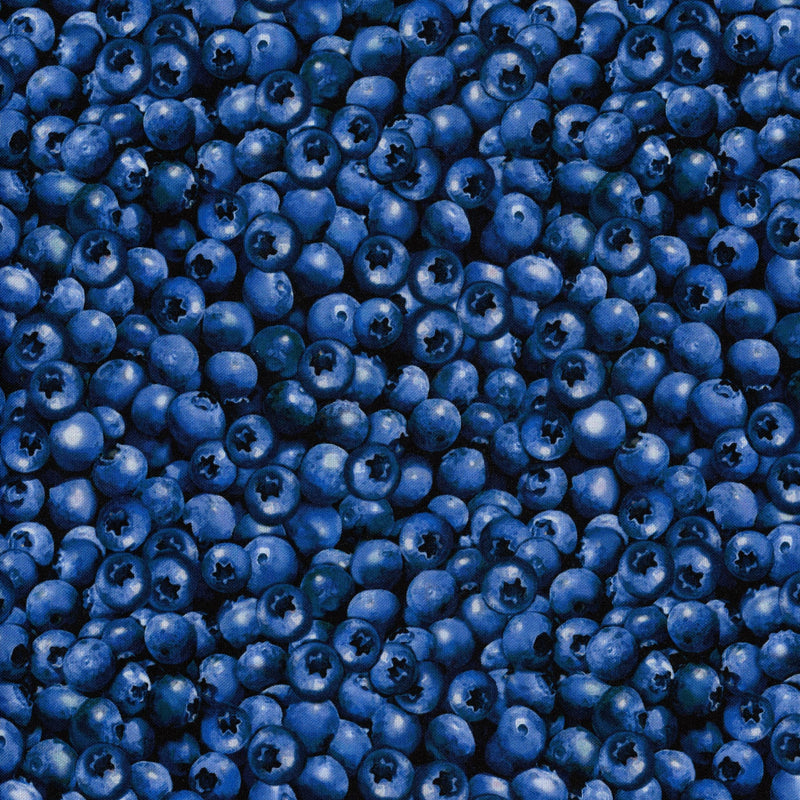 Benartex Packed Blueberries (Blue) - Patchwork and Quilting Fabric from Brown's Craft Shed (Tags: Fabric Benartex blue blueberry bold prints food fruit garden kitchen projects market totes nature novelty patterns playful quilting cotton summer )