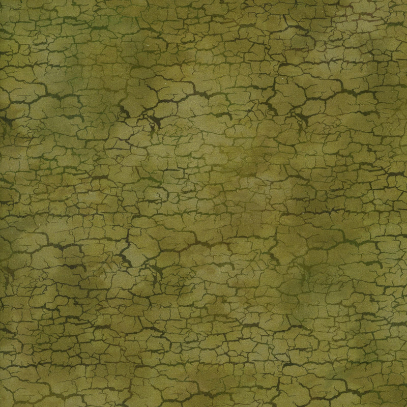 In The Beginning Fabrics - Carpet Bag Romance by Jason Yenter - Patchwork and Quilting Fabric from Brown's Craft Shed (Tags: Fabric background blender Carpet Bag Romance cracked earth green Jason Yenter moss nature Neutral olive organic textures tonal )