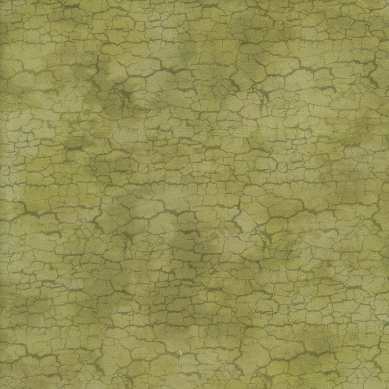 In The Beginning Fabrics - Carpet Bag Romance by Jason Yenter - Patchwork and Quilting Fabric from Brown's Craft Shed (Tags: Fabric background blender Carpet Bag Romance cracked earth green Jason Yenter moss nature Neutral olive organic textures tonal )