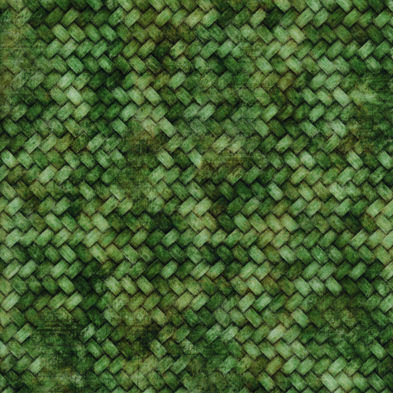QT Fabrics Lil Farmers by Morris Creative Group - Patchwork and Quilting Fabric from Brown's Craft Shed (Tags: Fabric basics basketweave blender country farm green Lil Farmers Morris Creative Group nature QT Fabrics rustic textures woven )