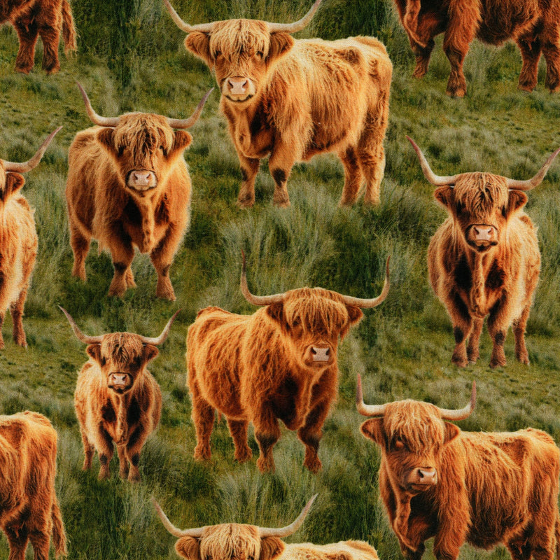 KK Fabrics - Homestead Bovine - Highland Cows Grass by Milvale design Studio - Patchwork and Quilting Fabric from Brown's Craft Shed (Tags: Fabric Brown Homestead Bovine KK Fabrics Milvale Design Studio )