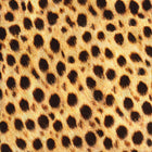 Robert Kaufman - Animal Kingdom - Patchwork and Quilting Fabric from Brown's Craft Shed (Tags: Fabric animal Animal Kingdom animals gold nature novelty Robert Kaufman textures wildlife )