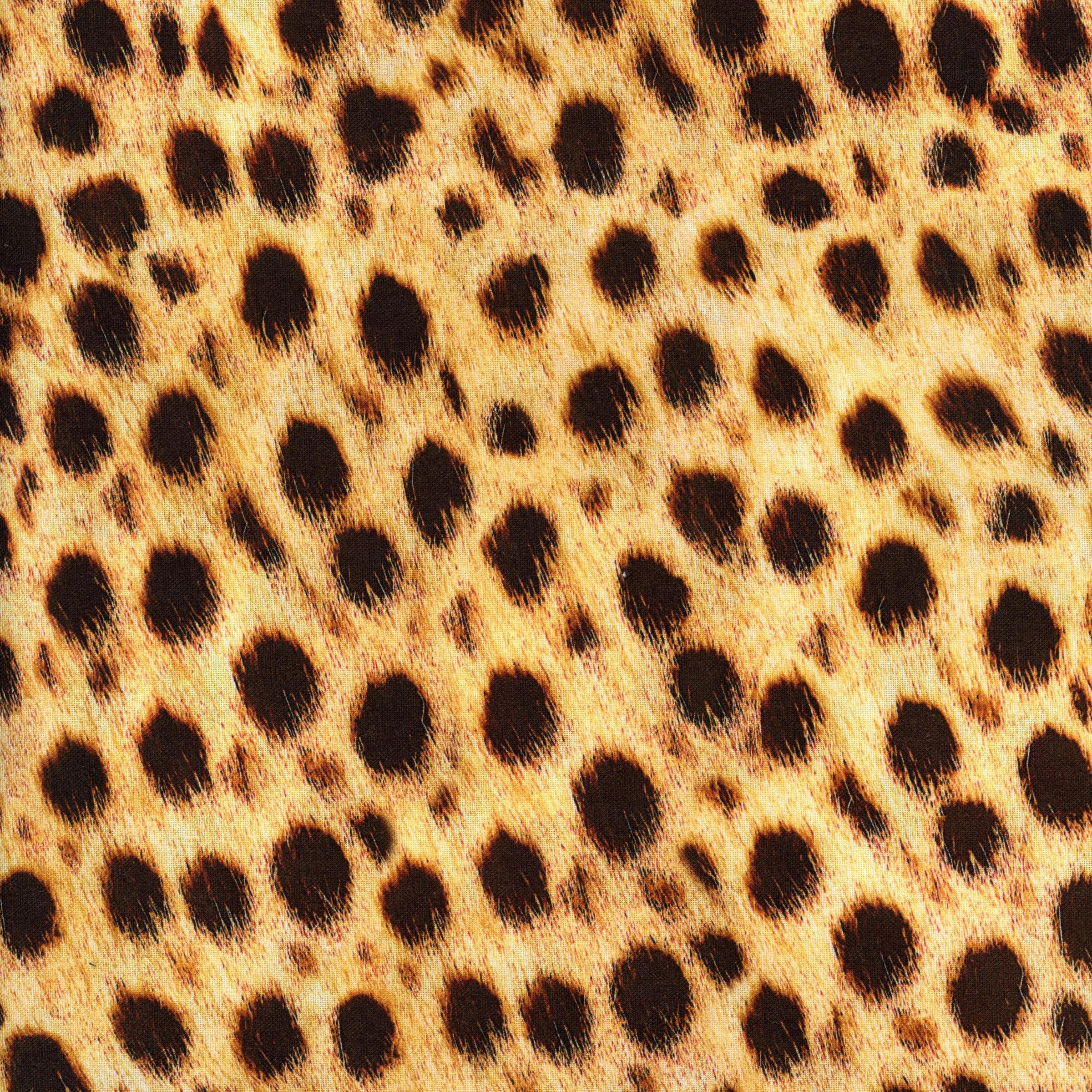 Robert Kaufman - Animal Kingdom - Patchwork and Quilting Fabric from Brown's Craft Shed (Tags: Fabric animal Animal Kingdom animals gold nature novelty Robert Kaufman textures wildlife )