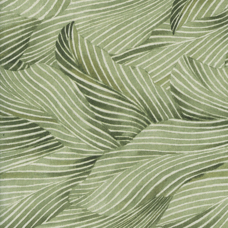 P&B Textiles Earth Tone 108" - Moss - Patchwork and Quilting Fabric from Brown's Craft Shed (Tags: Fabric 108 inch 108 inch wide backing blenders nature Neutral plants rustic textures vines wide wide back wide backing wide width wideback )