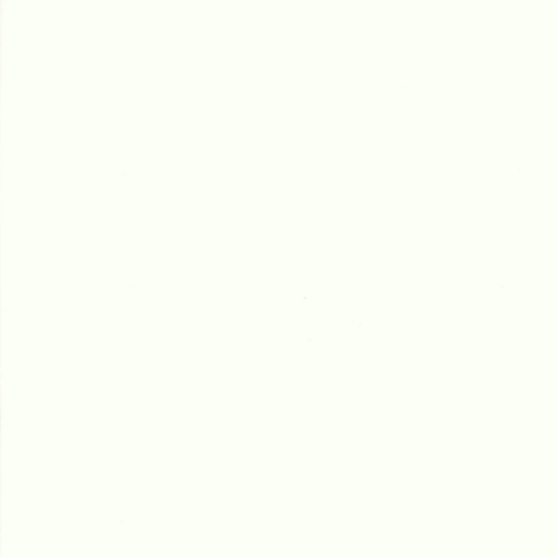 Devonstone Collection - Bright White - Patchwork and Quilting Fabric from Brown's Craft Shed (Tags: Fabric background basics blender bright white classic clean Devonstone Collection modern Neutral patchwork quilting solid timeless white )