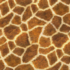 Robert Kaufman - Animal Kingdom - Patchwork and Quilting Fabric from Brown's Craft Shed (Tags: Fabric animal Animal Kingdom animals Brown children cream giraffe nature novelty Robert Kaufman safari textured wildlife )