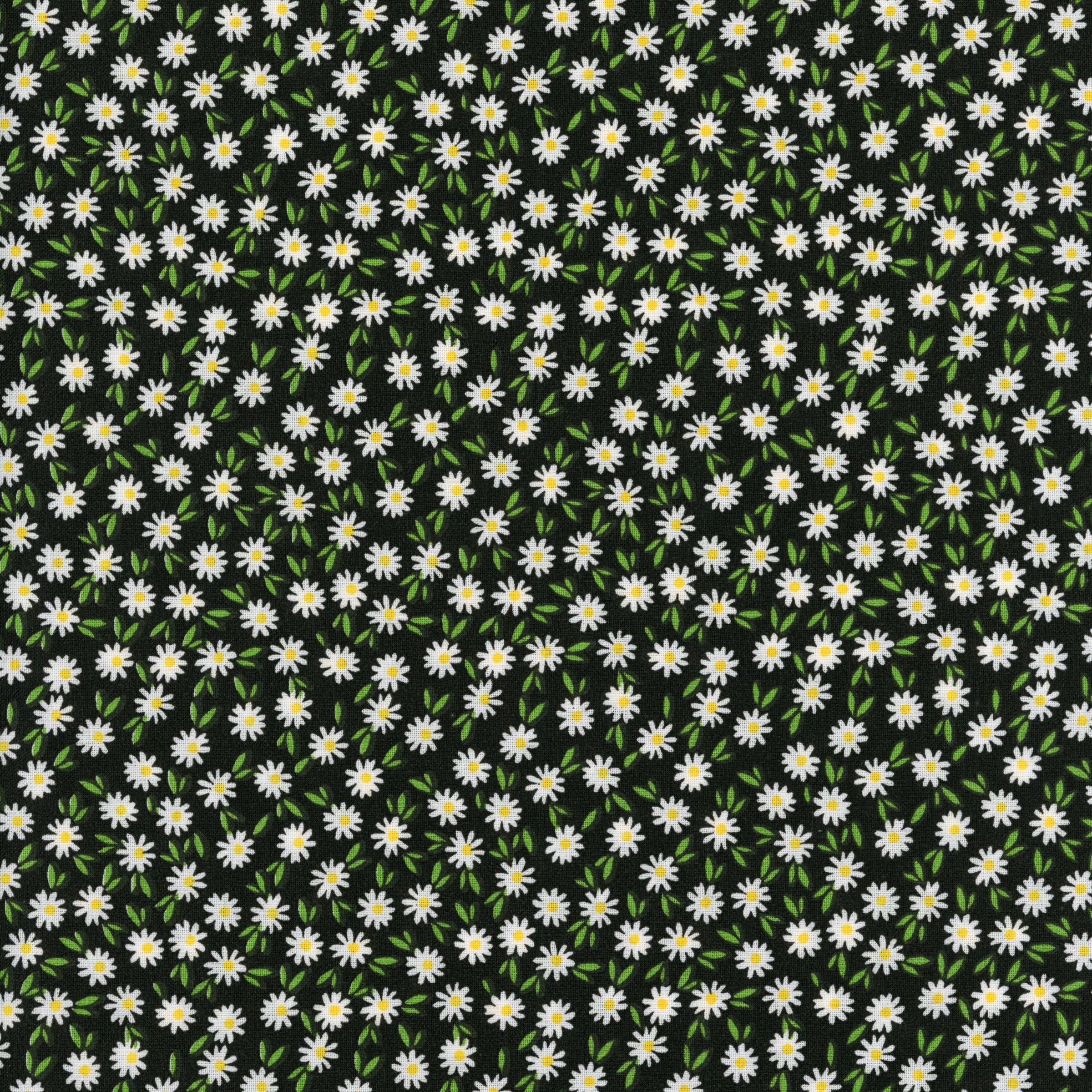 Sullivan's Ditsy Daisy (Black) - Patchwork and Quilting Fabric from Brown's Craft Shed (Tags: Fabric Black bold contrast daisy Ditsy Daisy ditsy floral Floral flowers garden green modern nature Sullivan's white )