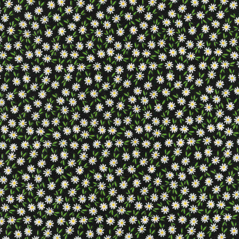 Sullivan's Ditsy Daisy (Black) - Patchwork and Quilting Fabric from Brown's Craft Shed (Tags: Fabric Black bold contrast daisy Ditsy Daisy ditsy floral Floral flowers garden green modern nature Sullivan's white )