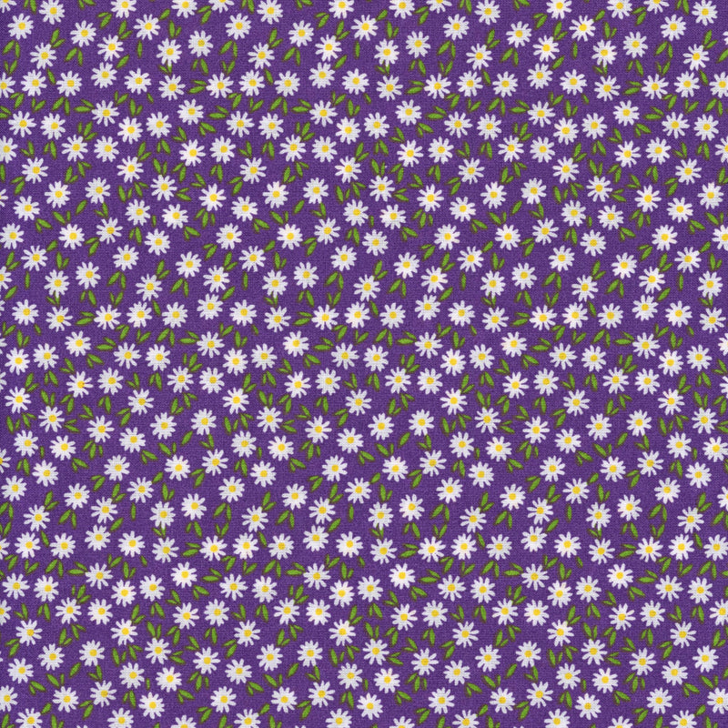 Sullivan's Ditsy Daisy (Purple) - Patchwork and Quilting Fabric from Brown's Craft Shed (Tags: Fabric children daisy Ditsy Daisy ditsy floral Floral flowers garden green nature purple Sullivan's violet whimsical white )