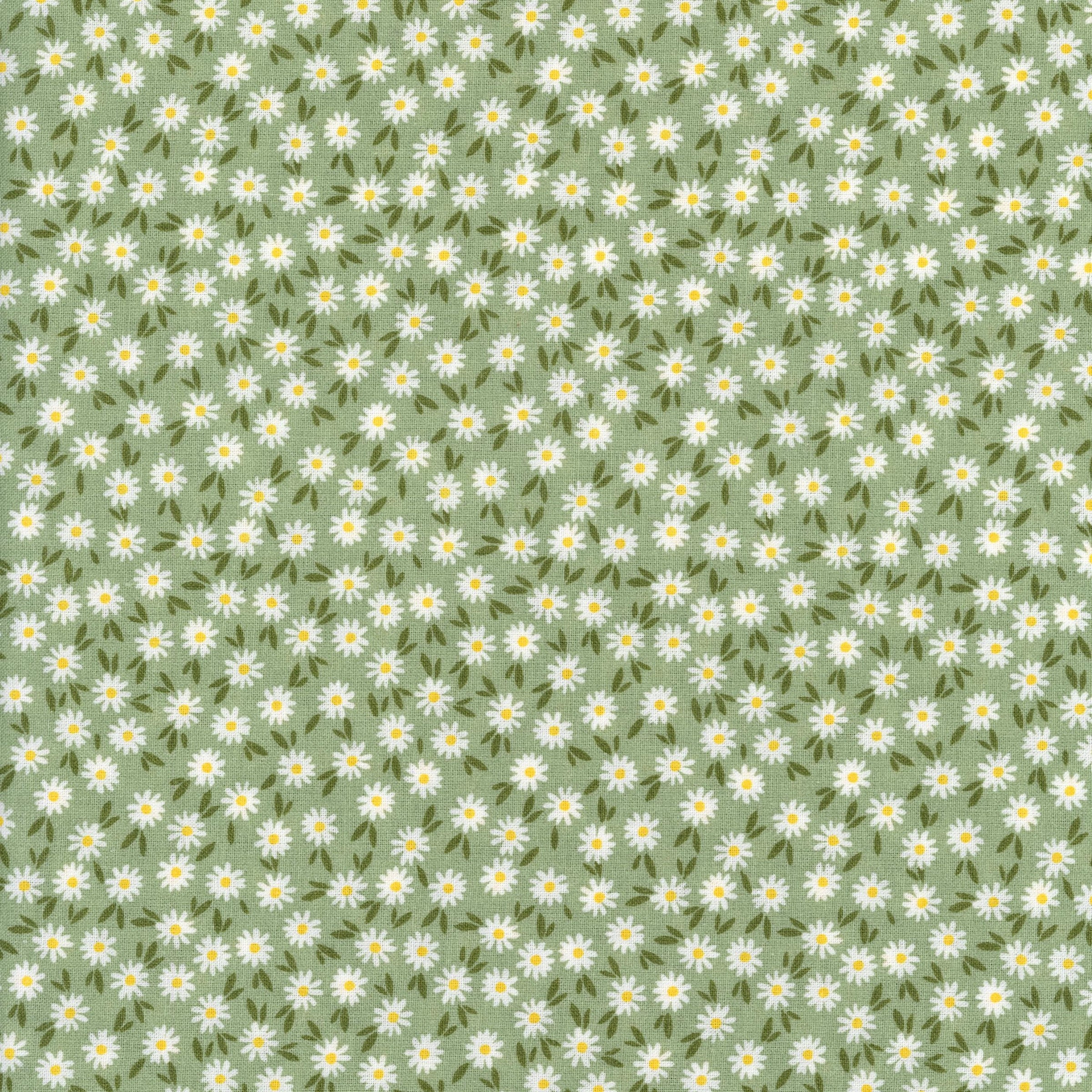 Sullivan's Ditsy Daisy (Sage) - Patchwork and Quilting Fabric from Brown's Craft Shed (Tags: Fabric cottagecore daisy Ditsy Daisy ditsy floral Floral flowers garden green nature pastel Sullivan's whimsical white )