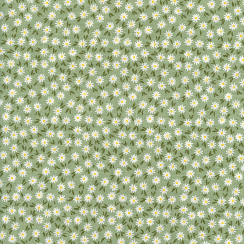 Sullivan's Ditsy Daisy (Sage) - Patchwork and Quilting Fabric from Brown's Craft Shed (Tags: Fabric cottagecore daisy Ditsy Daisy ditsy floral Floral flowers garden green nature pastel Sullivan's whimsical white )