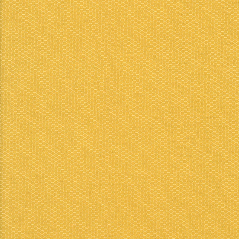 Windham Fabrics Whistler Studio Nature Study - Patchwork and Quilting Fabric from Brown's Craft Shed (Tags: Fabric background basics bee blender honeycomb modern patchwork quilting texture Windham Fabrics )