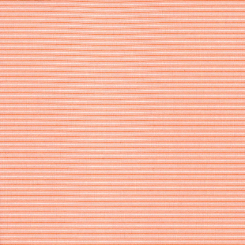 RJR Fabrics Wiggles & Giggles by Thimbleberries - Patchwork and Quilting Fabric from Brown's Craft Shed (Tags: Fabric autumn backing basics blender blenders coral orange solid terracotta textures )