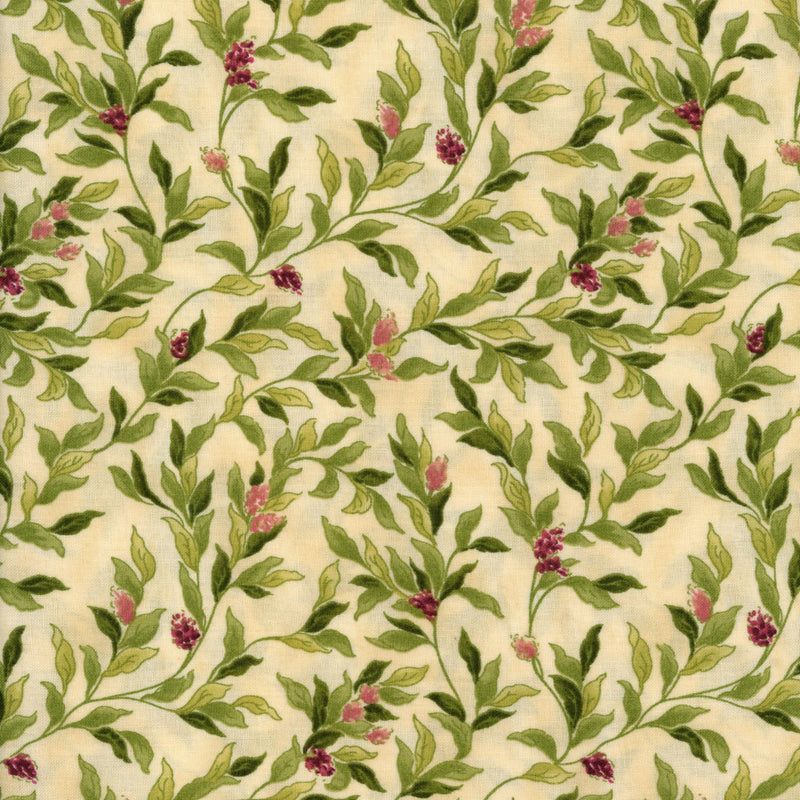 Northcott Harmony - Patchwork and Quilting Fabric from Brown's Craft Shed (Tags: Fabric botanical cream elegant Floral green Harmony nature Northcott patchwork quilting spring timeless vines )