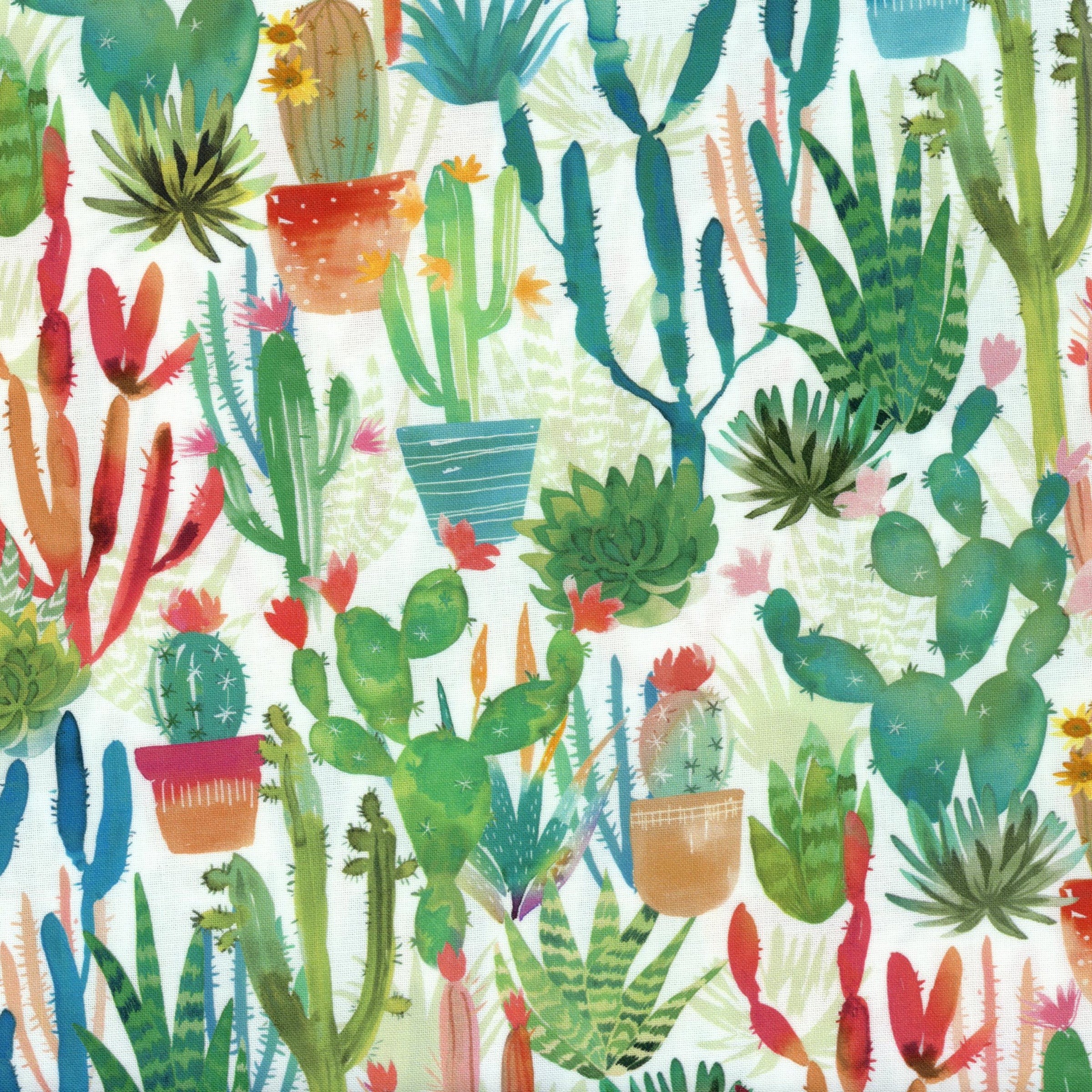 Maywood Studio - Desert Dreams - Patchwork and Quilting Fabric from Brown's Craft Shed (Tags: Fabric botanical coral Desert Dreams garden green Maywood Studio modern nature orange plants succulents teal watercolour whimsical )