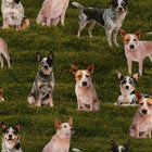 KK Fabrics Merino Muster III - Blue & Red Heeler - Patchwork and Quilting Fabric from Brown's Craft Shed (Tags: Fabric )