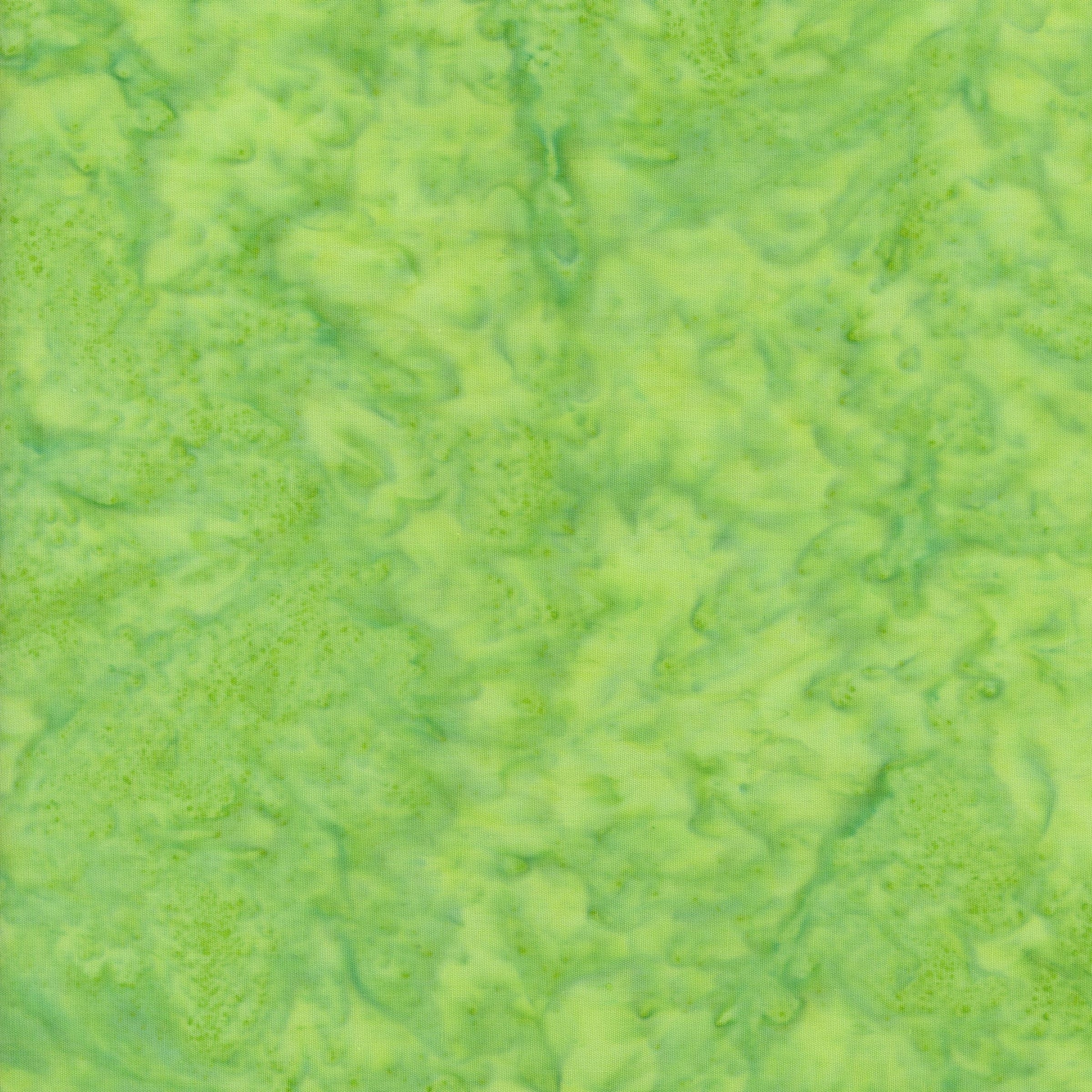 Batik Australia - Kiwi