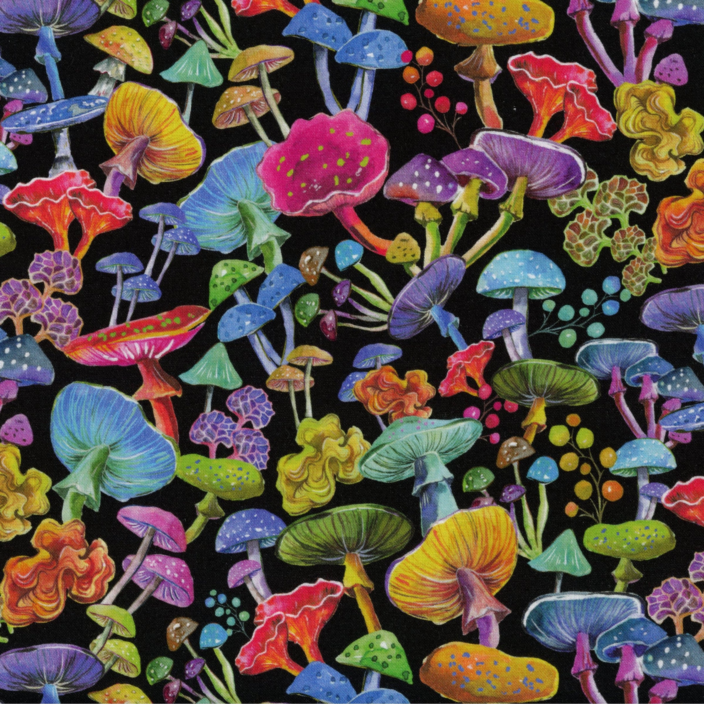 Nutex Luminous by Fiona Clarke