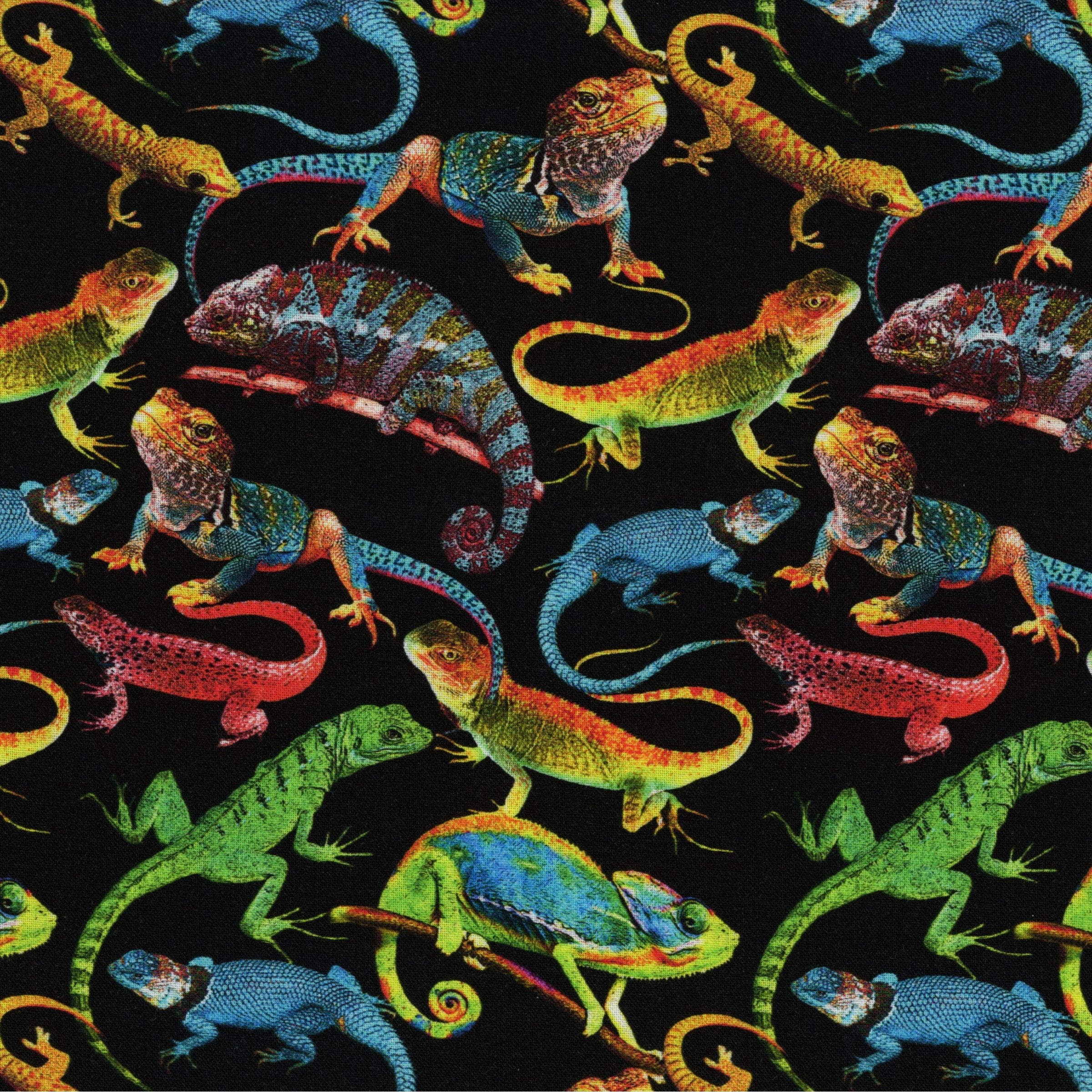 Windham Fabrics One of a Kind by Whistler Studios